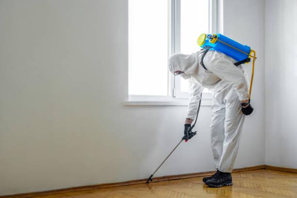 Real Estate Pest Inspections in Paris, MO